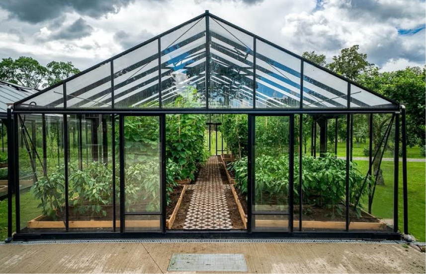 Greenhouse dalam Konstruksi: Menyongsong Pertanian Berkelanjutan